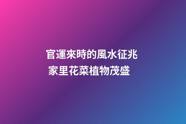 官運來時的風水征兆  家里花菜植物茂盛